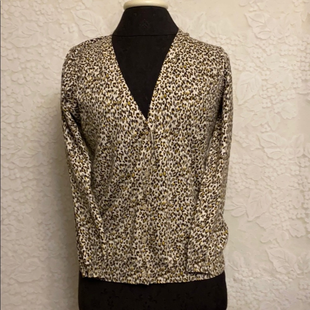 Zara Knit Button Down Cardigan